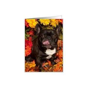  Its Fall, Brindle French Bulldog Happy Card Health 