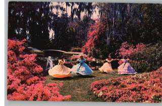 Postcard~Southern Belles at Cypress Gardens,Florida/FL  