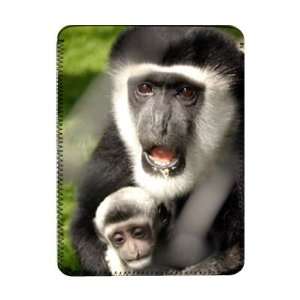  A colbus monkey with baby, Twycross Zoo,   iPad Cover 