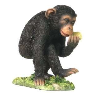  Baby Chimp Eating Primate Sculpture