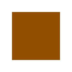  Rosco E Color 156 Chocolate Gel Filter Sheet: Electronics