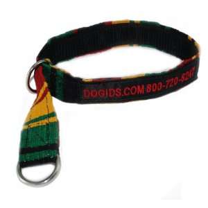   Embroidered MAYA Patch Personalized Slip Collar & Leash