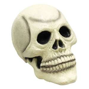    Skull Large 8 Halloween Fancy Dress Stage Prop Toys & Games