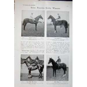   1906 Derby Horse Racing Sport Gorgos Lally Sancy Malua