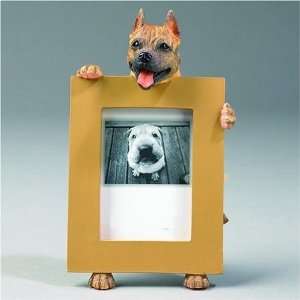  Pit Bull Brown and Black Dog Picture Frame 2 1/2 X 3 1/2 