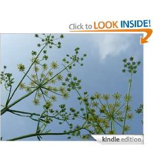   the Worlds Finest Dill Recipes Lela Hale  Kindle Store