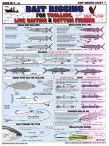 SALTWATER FISH Bait Rigging Chart   Tightlines #1  
