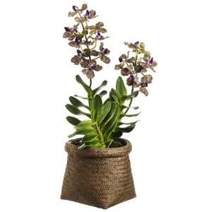  Faux 22 Vanda Orchid Plant in Basket Purple Green: Patio 