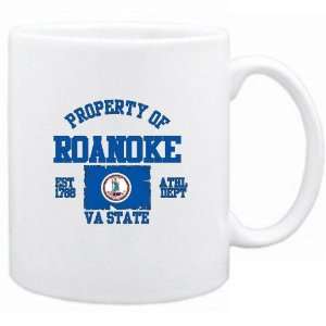   Of Roanoke / Athl Dept  Virginia Mug Usa City