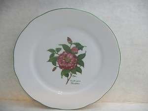 Bareuther Waldsassen Bavaria Germany Porcelain Dessert Plate Camellia 