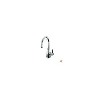   CP Contemporary Beverage Faucet w/ Aquifer Water: Home Improvement