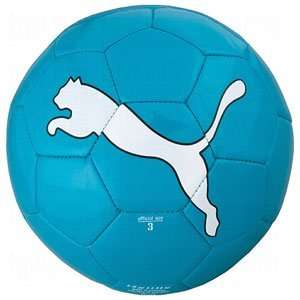  Puma Big Cat II Training Ball Blue/3