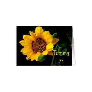  72nd Birthday, yellow Gazania Card Toys & Games