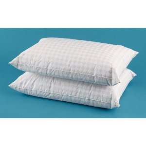  2 pack The Maxx Feather / Down Pillows