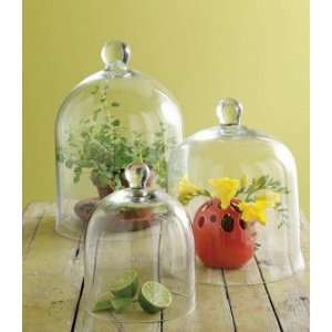  Clear Glass Cloches   Large: Home & Kitchen