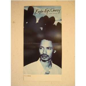  Eagle Eye Cherry Poster Eagle Eye Eagleeye Present Futu 