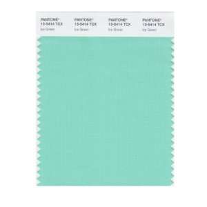  PANTONE SMART 13 5414X Color Swatch Card, Ice Green: Home 