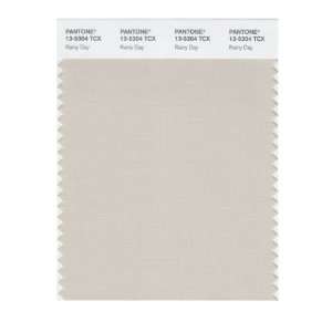 PANTONE SMART 13 5304X Color Swatch Card, Rainy Day: Home 