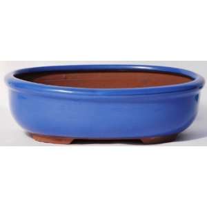  BuyBonsais Bonsai Pot 8 Oval Glazed Blue Patio, Lawn 