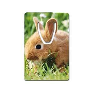  Bunny Rabbit Bookmark Great Unique Gift Idea: Everything 