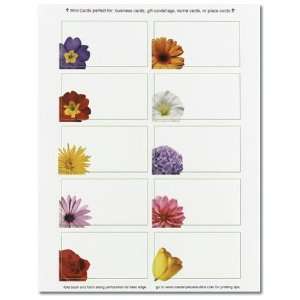  Floral Photo Business Card Paper Stock: Office Products