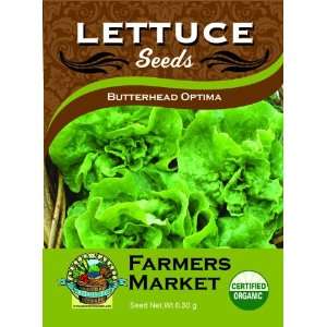  Organic Butterhead Optima Lettuce Seeds Patio, Lawn 