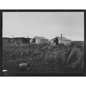  Buttonwillow,California,Kern County,CA,1939,Cotton Camp 