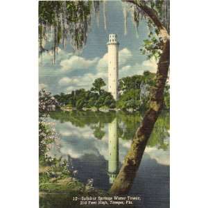 1950s Vintage Postcard   Sulphur Springs Water Tower   Tampa Florida