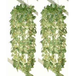  2 x 37 Caladium Ivies, Artificial Hanging Plants: Home 