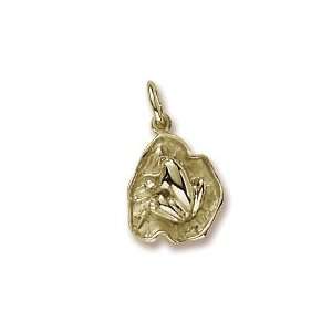   Rembrandt Charms Frog on Lily Pad Charm, 10K Yellow Gold: Jewelry