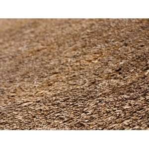  Dried Straw Thatched Roof of Rural Building Stretched 