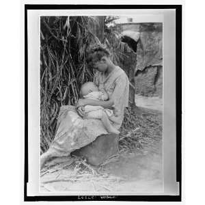   Cornstock madonna,breastfeeding,Orin Crooker,IL,c1916: Home & Kitchen