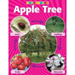 Chart: Apple Tree Life Cycle