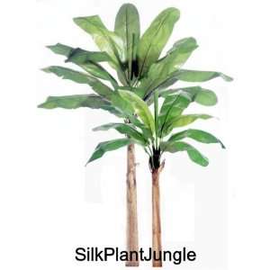   Silk Banana Tree Palm Plants with real banana bark