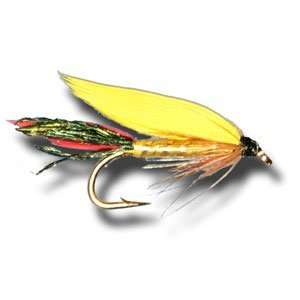  Cassin Wet Fly Fly Fishing Fly
