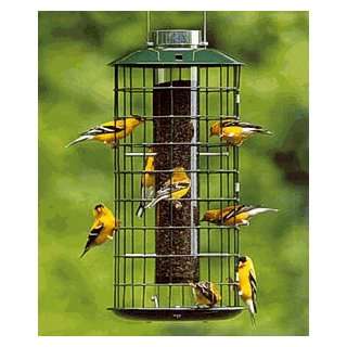  Squirrel Proof Thistle (Nyjer) Feeder, Finch Heaven 