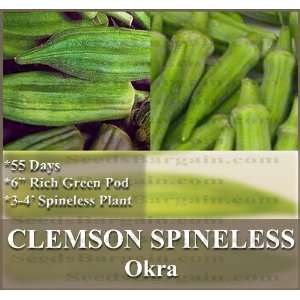  30 ORGANIC CLEMSON SPINELESS Okra seeds FINE quality soups 