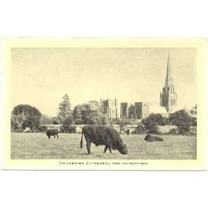   View of Chichester Cathedral from the Southwest Chichester England UK