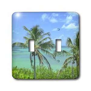   Florida Key Perfection   Light Switch Covers   double toggle switch