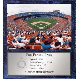  Pro Player Park (Miami Marlins) 12 x 15 Plaque with 8 x 