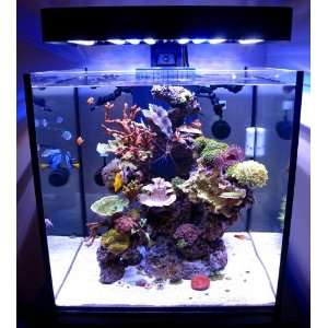  Solana XL 60 Aquarium System w/aquarium, stand, filter 