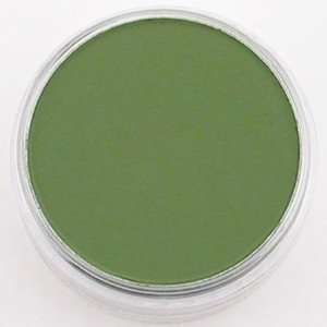  Colorfin Pan Pastel chromium oxide green shade 660.3
