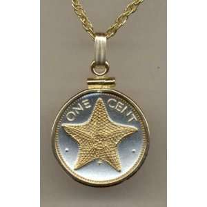   Toned Gold on Silver Bahamas Starfish , Coin Necklaces: Jewelry