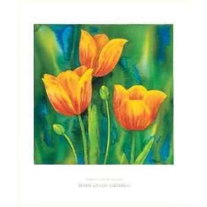  Composizione Di Tulipani    Print