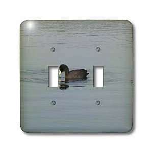  Beverly Turner Photography   American Coot   Light Switch 