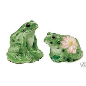   : Andrea by Sadek Salt & Pepper Shakers Green Frogs: Everything Else