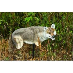   Edge Innovative Hunting Yote Coyote Hunting Decoy: Sports & Outdoors