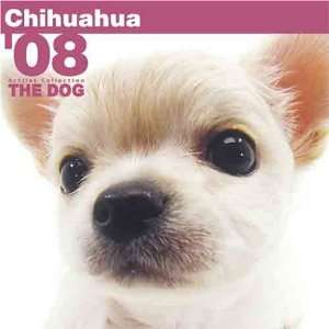 THE DOG Artlist   Chihuahua 2008 Calendar