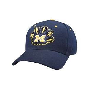   : Zephyr Michigan Wolverines Dhs Fitted Hat 6 3/4: Sports & Outdoors