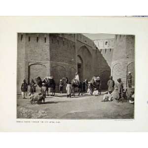    Camels Passing Through India Departure Campania Rms